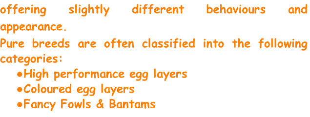 offering slightly different behaviours and appearance.
Pure breeds are often classified into the following categories:
High performance egg layers
Coloured egg layers
Fancy Fowls & Bantams
