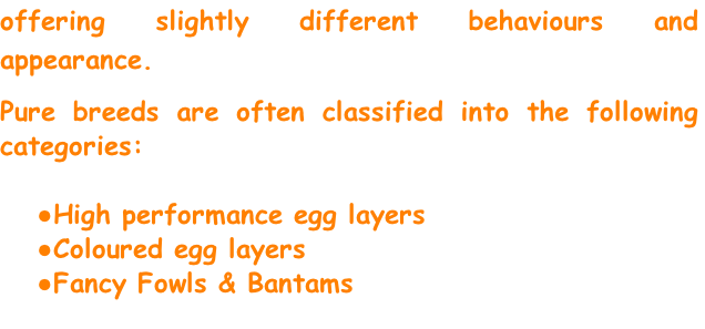 offering slightly different behaviours and appearance.
Pure breeds are often classified into the following categories:

High performance egg layers
Coloured egg layers
Fancy Fowls & Bantams
